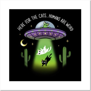 here for the cats alien ufo cats Posters and Art